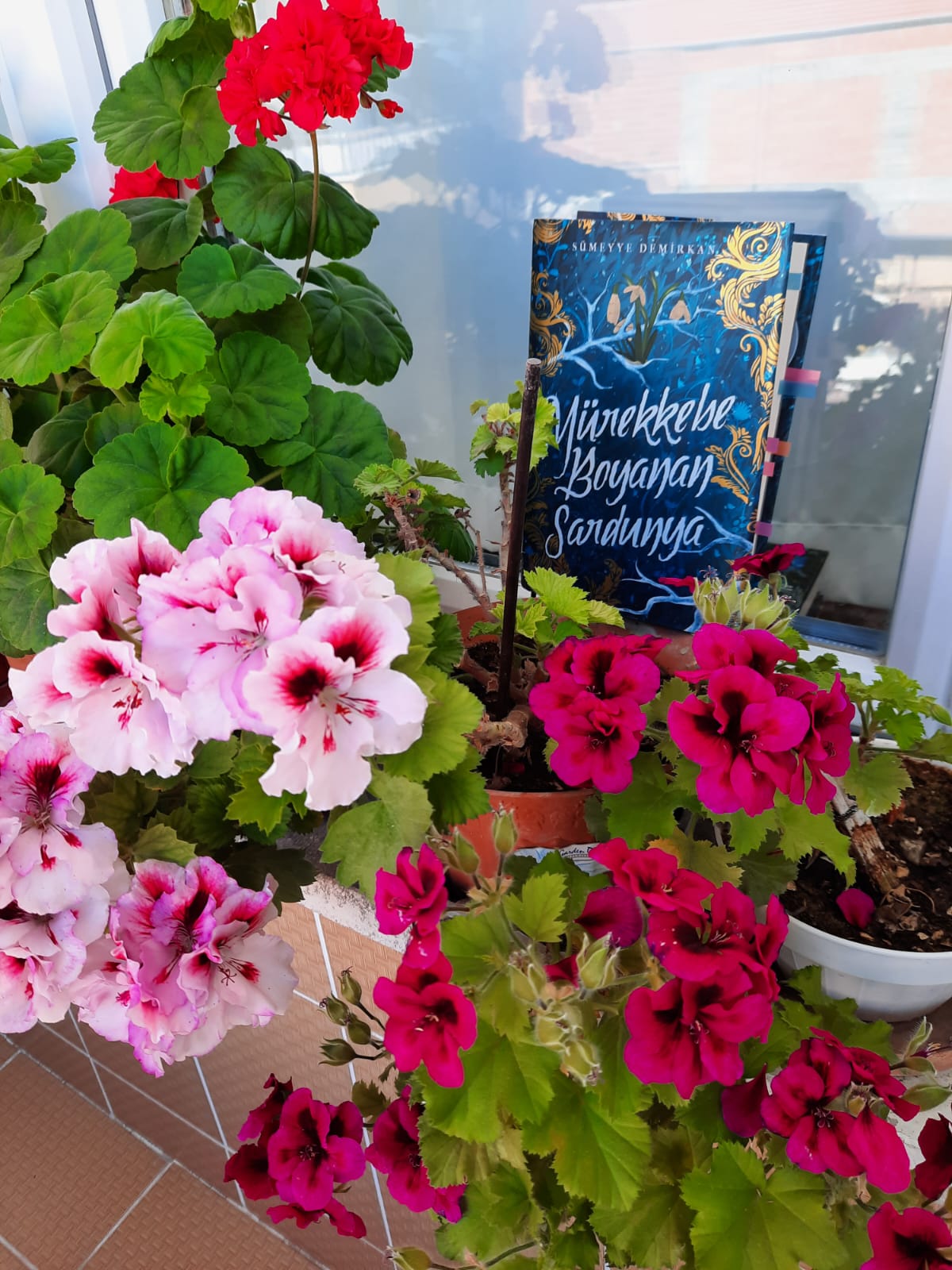 Sümeyye Demirkan-Mürekkebe Boyanan Sardunya